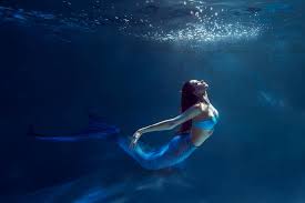 Image result for real mermaid