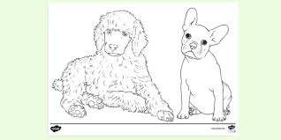 All of our printables are free. Free Puppy Colouring Colouring Sheets Teacher Made