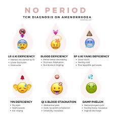 K A N P O B L I S S Auf Instagram Die Periode Kommt Normalerweise Alle 30 Tage Wenn New Ideas Fundamentals Of Nursing Period Medical Laboratory Science Student