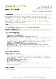 Using shortcuts and formula functions. Support Team Lead Resume Samples Qwikresume