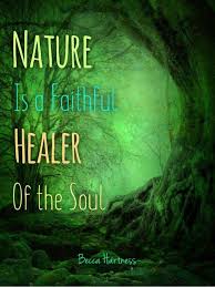 Nature Is A Nature Quotes Healer Quotes Earth Quotes