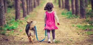 Jan 16, 2017 · so, generally, the number of times to take your dog out depends on its age. How Often Should I Walk My Dog And Why