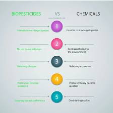 The disadvantages are that they can be more can you use biological controls as a preventative method of controlling pests? Advantages Of Using Biopesticides Compared To Chemical Pesticides Dudutech