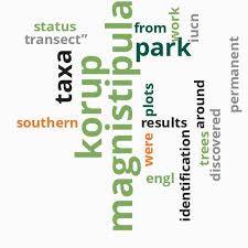 Image result for Magnistipula