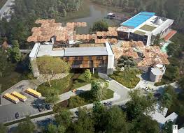 Image result for incolballet
