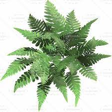 R Sultats Google Recherche D Images Correspondant Http Vbvisual Rendermall Com Media Images Org Vbvp P Top Topview0 Vol 00 02 Img08 Jpg