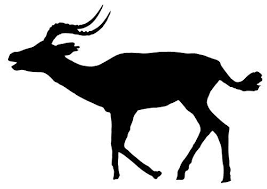 Pin On Horned And Antlered Forms By Humans