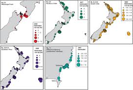 New zealand downgraded its tsunami threat level on friday, the national emergency management agency. The New Zealand Probabilistic Tsunami Hazard Model Development And Implementation Of A Methodology For Estimating Tsunami Hazard Nationwide Geological Society London Special Publications