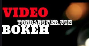 Download vidio sexxxxyyyy video bokeh full 2020 china 4000 youtube videomax terbaru yang memiliki banyak pengguna. Xnview Tondanoweb Com