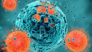 Smerter i brystkassen forekommer relativt hyppig og fører ofte til legebesøk, særlig fordi man er bekymret for at det skal være noe galt med hjerte eller lunger. Sarkom Krefttypen Som Kan Ramme Hele Kroppen Alt Om Din Helse