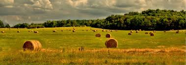 Voici un petit récapitulatif des différents modes d'indemnisation pour comprendre comment calculer le remboursement de votre mutuelle et de la sécurité sociale. Les Benefices Agricoles Ba Cabinet D Expertise Comptable