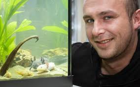 Het Portret: 'Waarom ze zo leuk zijn? Omdat ze er uitzien als draakjes'