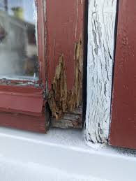 Image result for site:byggahus.se träskada