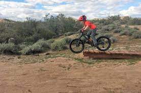 Looking for the best bike brands? Best Kids Mountain Bikes 15 Brands That Deliver 2021 Rascal Rides