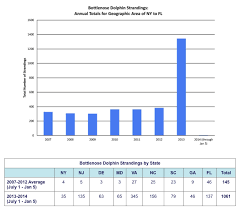 dolphin case study biology libretexts