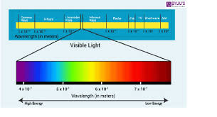 The Wavelength Of Light Visible To Eye S Of The Order Of