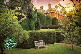 The Topiary Cat Spots A Friend Topiary Garden Topiary Beautiful Gardens