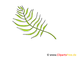 From palm (palm) +‎ zondag (sunday). Palmtak Clipart Voor Palmzondag