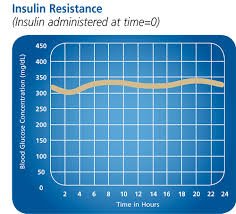 Canine Glucose Control Merck Animal Health