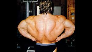 The life and training philosophy of the world's best bodybuilder by dorian yates and peter mcgough | dec 6, 2006 4.7 out of 5 stars 29 When Was Dorian Yates Back At Its Best Youtube