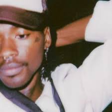 Stream Swimming by Terry Presume