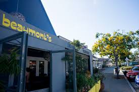 There's a gold medallion tree (cassia leptophylla) a couple of streets over from where i live. A Nice Ring To It The Gold Medallion Tree Lights Up The Streets Of Southern California The Horticult