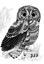 stylized owl print