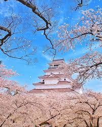 Pin On Amazing Japan