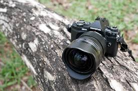 Olympus M Zuiko Ed 7 14mm F2 8 Pro Robin Wong Olympus M Zuiko 7 14mm F2 8 Pro Lens Review Olympus Camera World Lens