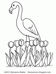 New coloring pages added all the time to bird coloring pages. Flamingo Pictures For Kids Coloring Home