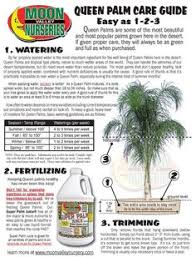 Tree trimming removes damaged, weak or overgrown branches, which promotes proper tree structure and helps reduce the chance of risky tree problems. 9 Palm Tree Care Ideas Palm Tree Care Tree Care Palm