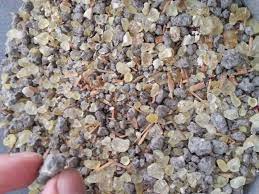 روح الأحجار روحانيات شيخ روحاني عرق السواحل عرج السواحل هبهاب احجار كريمة البرهتيه احجار الحظ احجار الطاقة عظم الهدهم ابطال السحر how to dry basil herbs basil