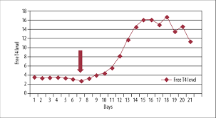 the chart represents the detailed patient response t4 level