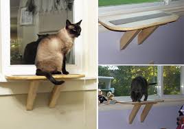 Make a perch for your pet so that it could sit there with comfort for hours, enjoy the sun energy and watch what is going on. Perfect Perch Cat Window Seat Hauspanther