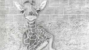 You can edit any of drawings via our online image editor before downloading. Free 7 Giraffe Drawings In Ai