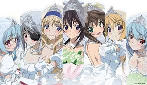 Most of the characters are in the same class; Is Infinite Stratos 2 Infinite Wedding Characters