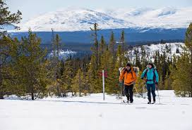 Agoda.com nudi izbor najboljih hotela u valadalen, švedska kako bi osigurali da vaš posjet odgovara vašim očekivanjima. 182 Fjallsvangen Fjallupplevelser I Sodra Arefjallen