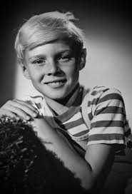 Black And White Tv Shows 1960s Denace The Menace Dennis The Menace 1960s Tv Shows Classic Television