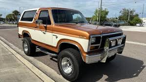 Image result for Fawn 1981 Bronco