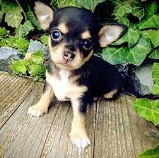 So Cute