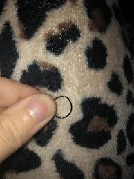Stay home & shop online with free shipping on orders over $25. How Do I Make A Nose Hoop Perfectly Round Again Piercing