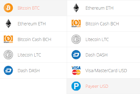 According to me, it was a planned fork to overtake bitcoin. Btc To Payeer Exchange Usd Transfer Bitcoin To Payeer Cash Usd Exchanger24