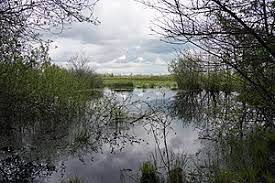Das rund 222 hektar große naturschutzgebiet. Froslev Jardelunder Moor Wikipedia