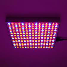 Currently, the best led grow light is the california lightworks solarsystem. 1200w Led Grow Light Waterproof Plant Lamp Chip Phyto Growth Lamp Full Spectrum Plant Lighting For Indoor Plant Us Plug Edge Cyber Com
