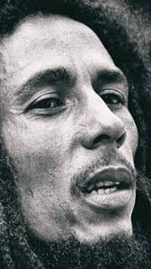 ボード「マーレー」に最高のアイデア 20 件