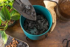 The Complete Guide to Activated Charcoal in Horticulture - SuperMoss