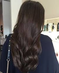 Sometimes in sun light actual black hair almost gives a purplish black hue in direct light. 50 Different Shades Of Brown Hair Colors You Can T Resist Hair Shades Dark Chocolate Hair Brown Hair Shades