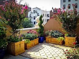 Check spelling or type a new query. Flowering Bushes For Planter Boxes The Tree Center