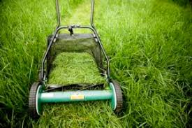 This is because in our attempt to ensure maximum freshness for you, the plugs are not cut entirely through. Four Reasons You Should Bag Your Zoysia Grass Clippings While Mowing Palmers Turf Farm