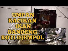 Umpan Ikan Bandeng Tambak Yg Susah Makan Youtube
